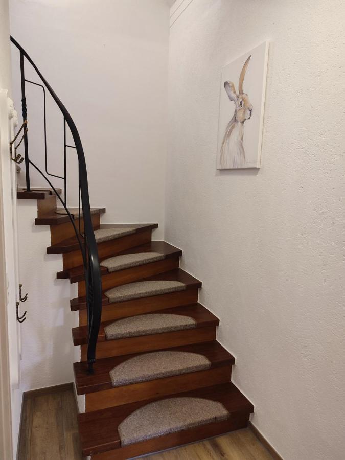 Ferienwohnung Fuchs & Hase Dahlem  Zewnętrze zdjęcie